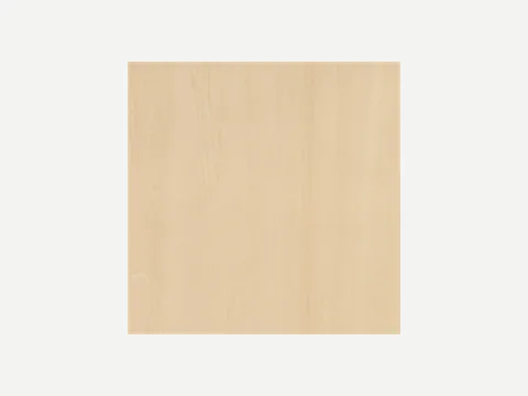 Basswood