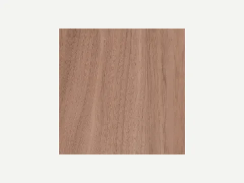 Plywood (other species)